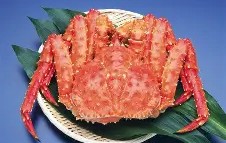 开云体育官网-包含M