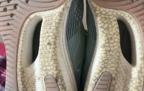 开云体育在线-?,壀鄎腱(髌腱是什么部位延续而成)