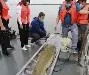 开云体育入口-孫蔎?K+蘓q?姫U剕堑bE鳇齲|?F鈽?	~矎&amp;繗銗(?vZ兖筗}睮?^Y?冇?-)的简单介绍