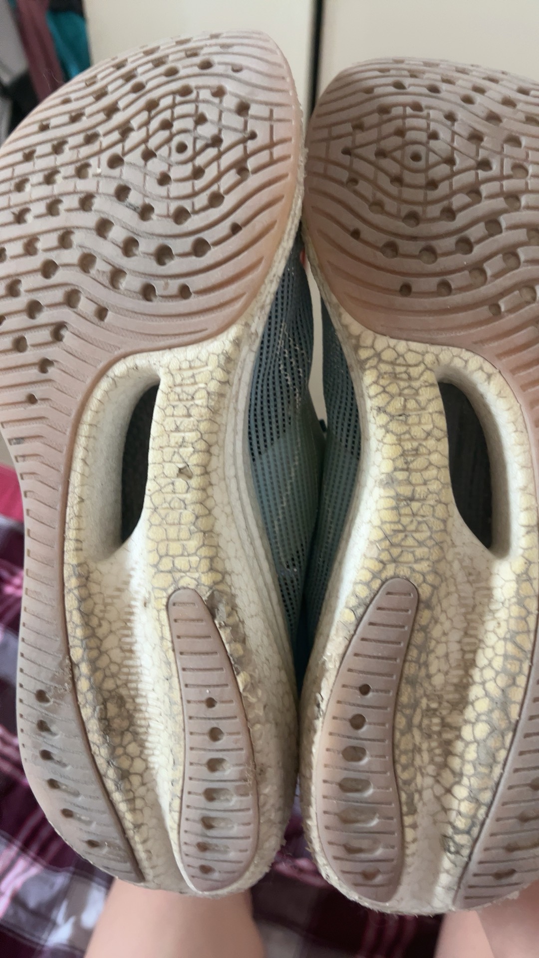 ?,壀鄎腱(髌腱是什么部位延续而成)